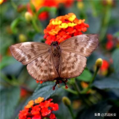 钓鱼时光最新手游下载