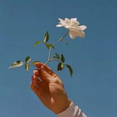 妖媚琉璃官方版下载